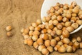 Ripe hazelnuts in a peel on a background of old burlap