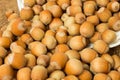 Ripe hazelnuts in a peel on a background of old burlap Royalty Free Stock Photo