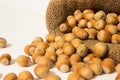 Ripe hazelnuts in a peel on a background of old burlap