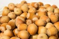 Ripe hazelnuts in a peel on a white background