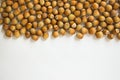 Ripe hazelnuts in a peel on a white background