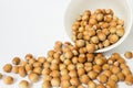 Ripe hazelnuts in a peel on a white background