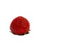 Ripe healthy fresh strawberry close up shot Royalty Free Stock Photo