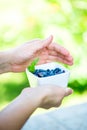 Ripe Honeysuckle Berries in Bowl Royalty Free Stock Photo