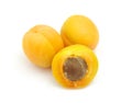 Ripe isolated apricot