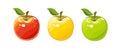 Ripe juicy apple. Set of vector illustration