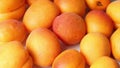 Ripe juicy apricots in motion. Revolve on a plate.