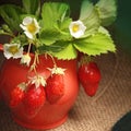 Ripe juicy berries and jug