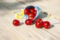 Ripe juicy cherries scattered from a small decorative bucket Royalty Free Stock Photo