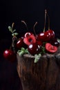 Ripe juicy cherries on tree stump