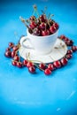 Ripe and juicy cherries in white ceramic cup, red sweet cherry, organic fruit, summer food, close-up, isolated on blue Royalty Free Stock Photo