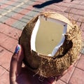 Ripe juicy coconut on a hot sunny day Royalty Free Stock Photo