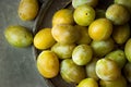 Ripe juicy colorful yellow and green plums on vintage metal dish. Dark stone background. Autumn.