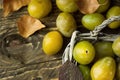 Ripe juicy colorful yellow and green plums in vintage wicker basket. Dry leaves. Dark wood background. Still life, copy space. Royalty Free Stock Photo