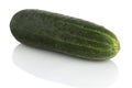 Ripe juicy cucumber