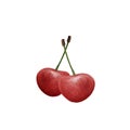 Ripe juicy dark red two cherries on stems. Watercolor illustration of cherry berries. Royalty Free Stock Photo