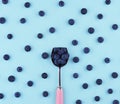 Fresh picked blueberries on blue trendy background.