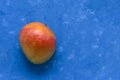 Ripe juicy fruit of the Brazilian mango from the tropics on a blue background with place for text. Exotic fresh fruits Royalty Free Stock Photo