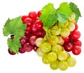 Ripe juicy grapes isolated on white background. Red and green grapes with leaves. Royalty Free Stock Photo