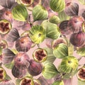 Ripe juicy green purple whole figs fruit seamless pattern Hand drawn clipart watercolor illustration Royalty Free Stock Photo