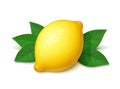 Ripe, juicy lemon with green leaf.