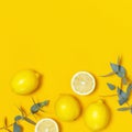 Ripe juicy lemons and green eucalyptus twigs on bright yellow background. Lemon fruit, citrus minimal concept. Creative summer Royalty Free Stock Photo