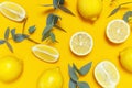 Ripe juicy lemons and green eucalyptus twigs on bright yellow background. Lemon fruit, citrus minimal concept. Creative summer Royalty Free Stock Photo