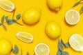 Ripe juicy lemons and green eucalyptus twigs on bright yellow background. Lemon fruit, citrus minimal concept. Creative summer Royalty Free Stock Photo