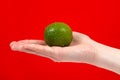Ripe juicy lime in hand isolated on red background Royalty Free Stock Photo