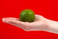 Ripe juicy lime in hand isolated on red background Royalty Free Stock Photo