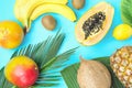 Ripe Juicy Mango Halved Papaya Coconut Kiwi Bananas on Large Palm Leaf on Light Blue Background. Summer Vacation Fashion Concept Royalty Free Stock Photo