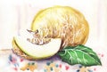 Ripe juicy melon, yellow rind. A whole fruit and a cut wedge lie on a colorful tablecloth. Hand drawn watercolor illustration