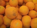 Ripe juicy melons varieties collective farmer new crop