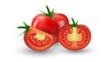 Ripe juicy natural tomato. Appetizing chopped tomato. Half. Realistic vector illustration. For promotional products Royalty Free Stock Photo