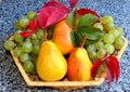 A ripe juicy pear lies on a table, in the background a vase with grapes and pears