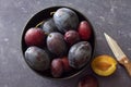 Ripe, juicy plums in bowl Royalty Free Stock Photo