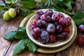 Ripe juicy plums in a bowl. Royalty Free Stock Photo