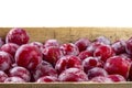 Ripe juicy plums in a wooden box close-up, place for text Royalty Free Stock Photo