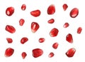 Ripe juicy pomegranate seeds falling on white background Royalty Free Stock Photo