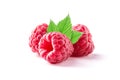 Ripe juicy raspberry isolated on white