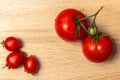 Ripe, juicy, red, large and small tomatoes on a wooden table background Royalty Free Stock Photo