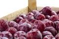 Ripe juicy red plums in a wooden box close-up. Royalty Free Stock Photo