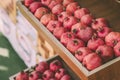 Ripe juicy red pomegranates on the wooden shelf. Harvest and sell of organic fresh fruits. Royalty Free Stock Photo