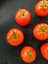 Ripe juicy red tomato with green leaves on a dark background. On tomatoes water drops, clean. Royalty Free Stock Photo