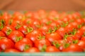 Ripe juicy tomatoes in box