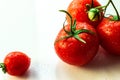 frame of ripe, large and small red tomatoes Royalty Free Stock Photo