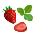 Ripe juicy Strawberry with leaf isolated on white. Whole and slice