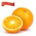 Ripe juicy sweet whole orange and slice vector realistic 3d illustration of high detail.