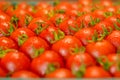 Ripe juicy tomatoes in box