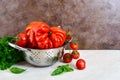 Ripe juicy tomatoes of different varieties, green fragrant basil on the table Royalty Free Stock Photo